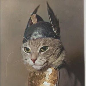 Meet your Posher, Donald